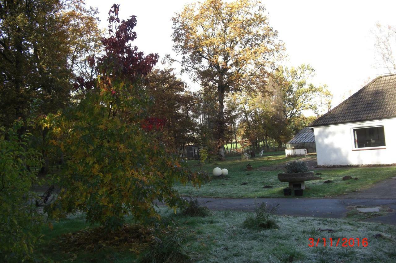 Ferienhaus Huus Ton Witten Barg Undeloh Luaran gambar