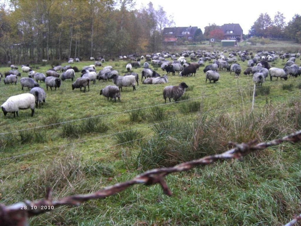 Ferienhaus Huus Ton Witten Barg Undeloh Luaran gambar